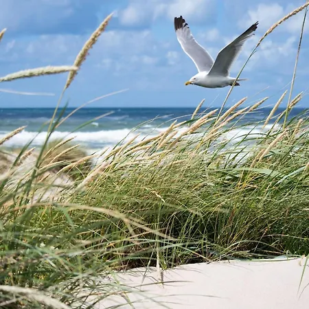 Apartmán Albertstrand With Stunning Seafront View